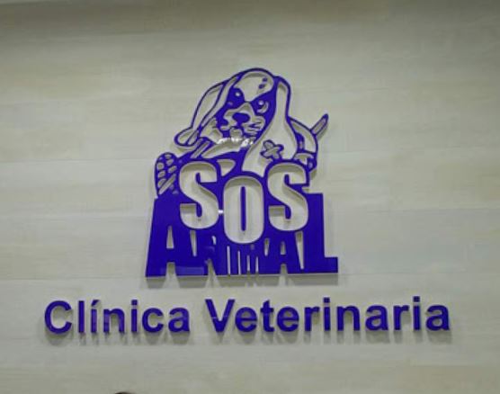 Clínica Veterinaria en el centro de Málaga Clínica Dr. Galacho
